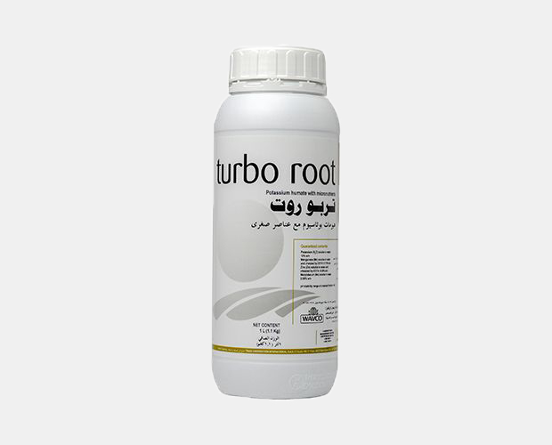 Turbo root
